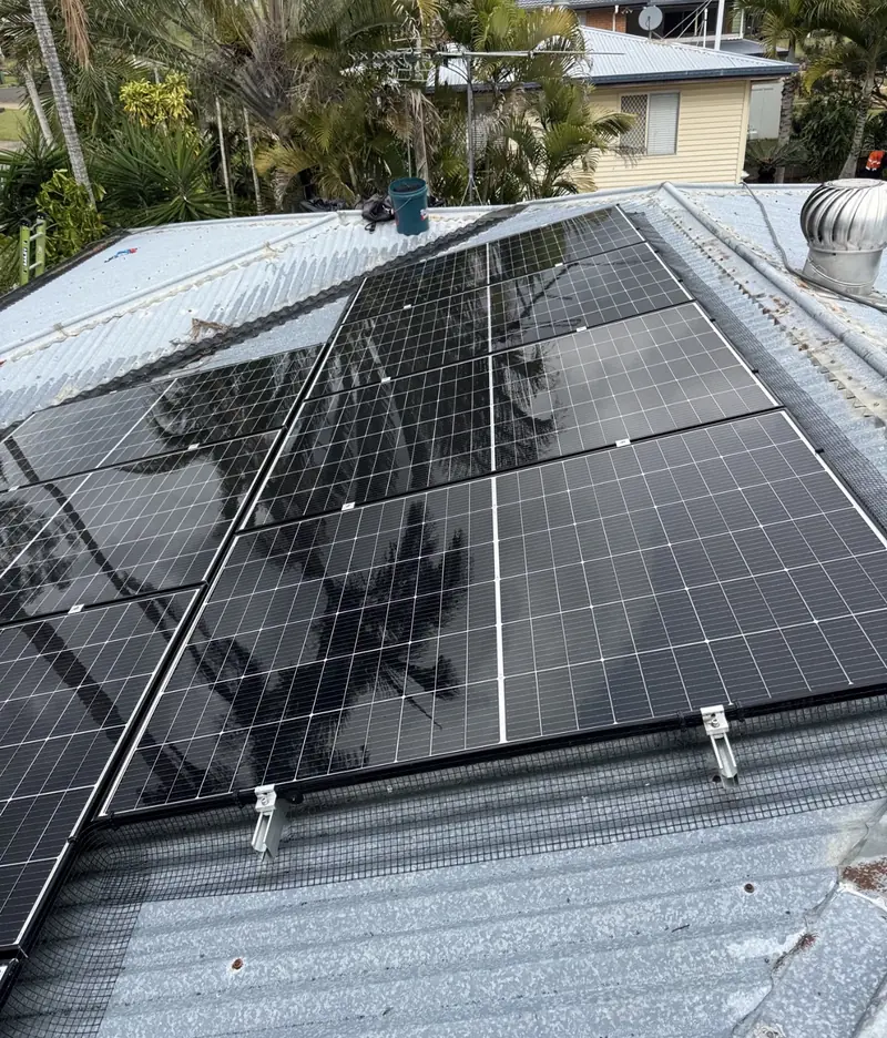 Solar panel bird proofing in Bracken Ridge: Black solar panels edged with mesh on a weathered silver corrugated roof near palm trees