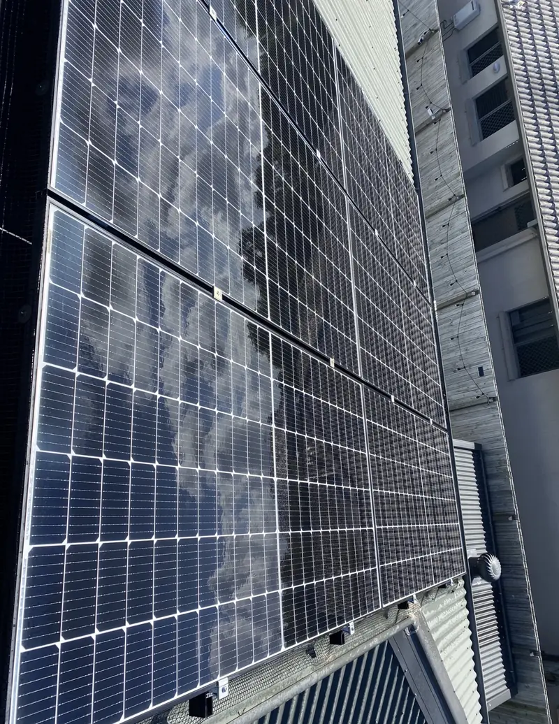 Solar panel bird proofing in Mango Hill: Close-up of solar panels reflecting clouds, black bird mesh visible along the left panel edge
