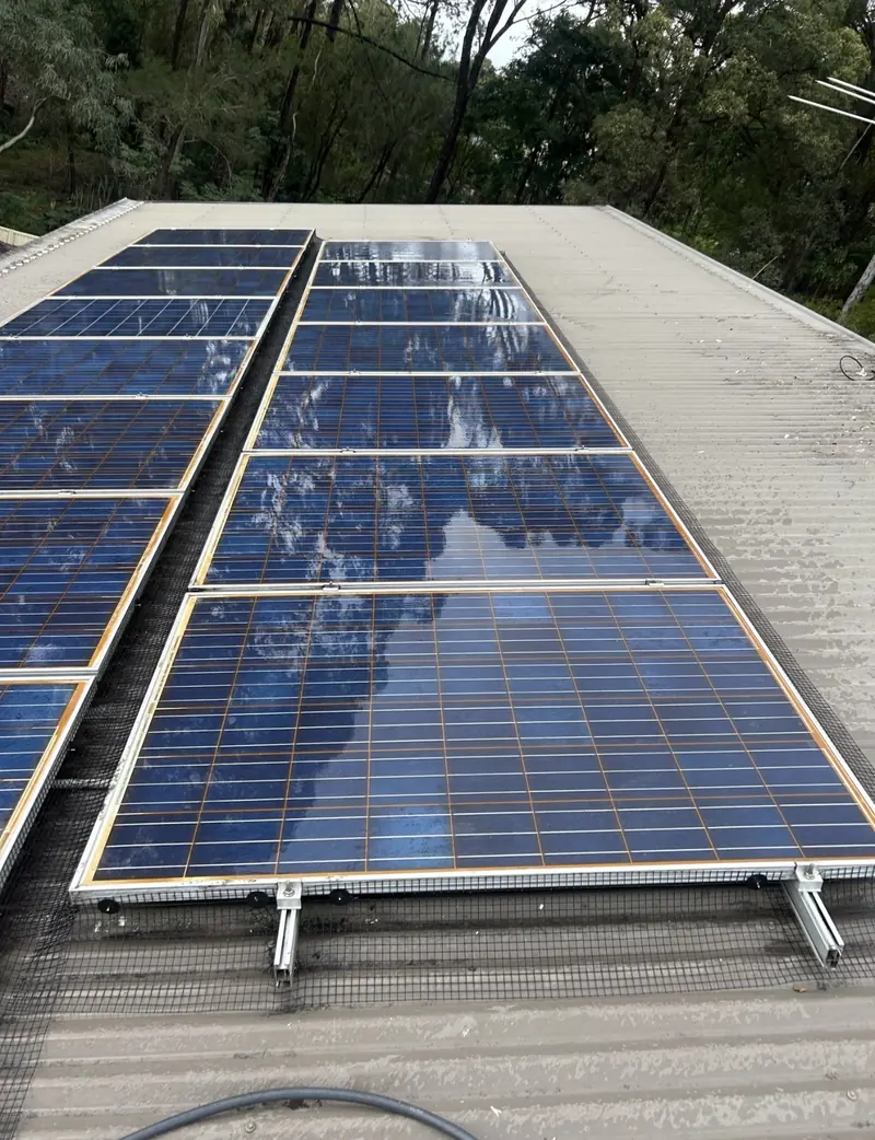 Solar panel bird proofing in Redbank Plains: Wet blue solar panels with black mesh skirting on a weathered beige corrugated metal roof, trees behind