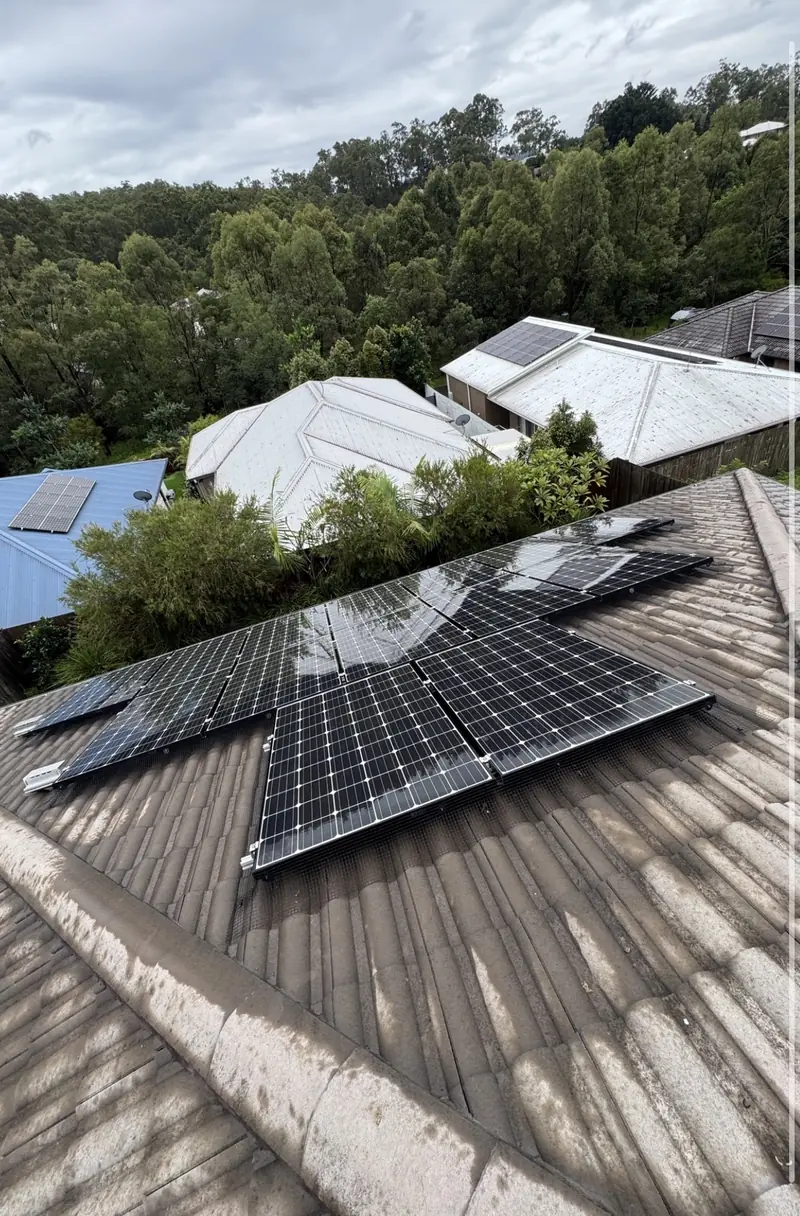 Solar panel bird proofing in Springfield: Black solar panels with perimeter mesh on a weathered grey tile roof, neighbouring rooftops and bushland behind
