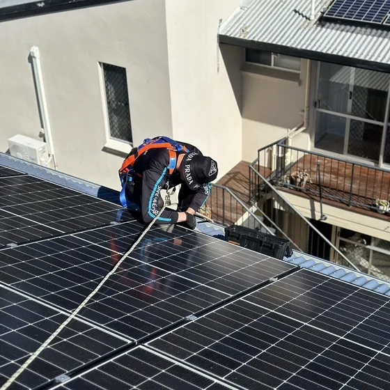 Solar panel bird proofing installation Brisbane