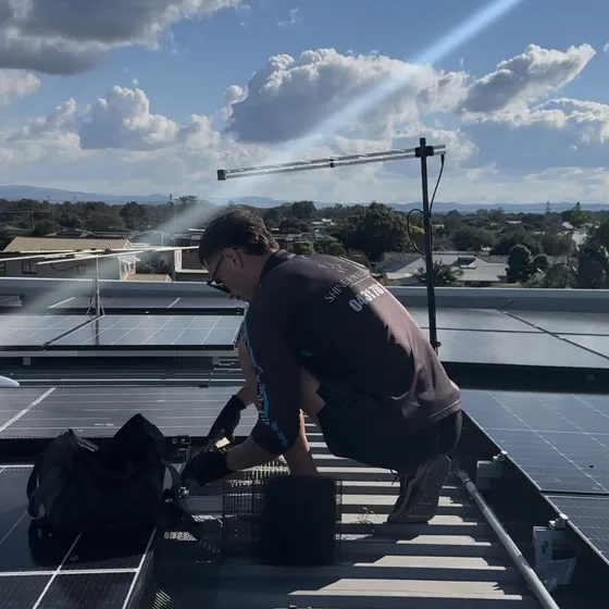 Pigeon mesh installed around solar panel array
