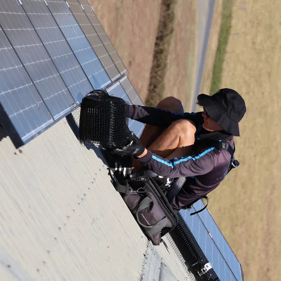 304 stainless steel mesh fitted to Brisbane rooftop solar panels