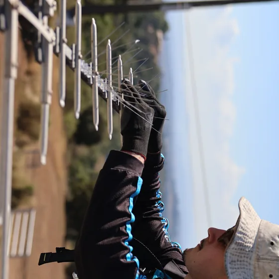 Shine Panel Care team completing solar bird proofing job