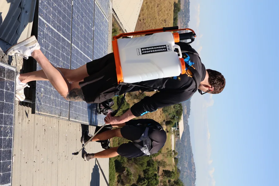 Solar panel cleaning before bird proofing mesh installation in Brisbane