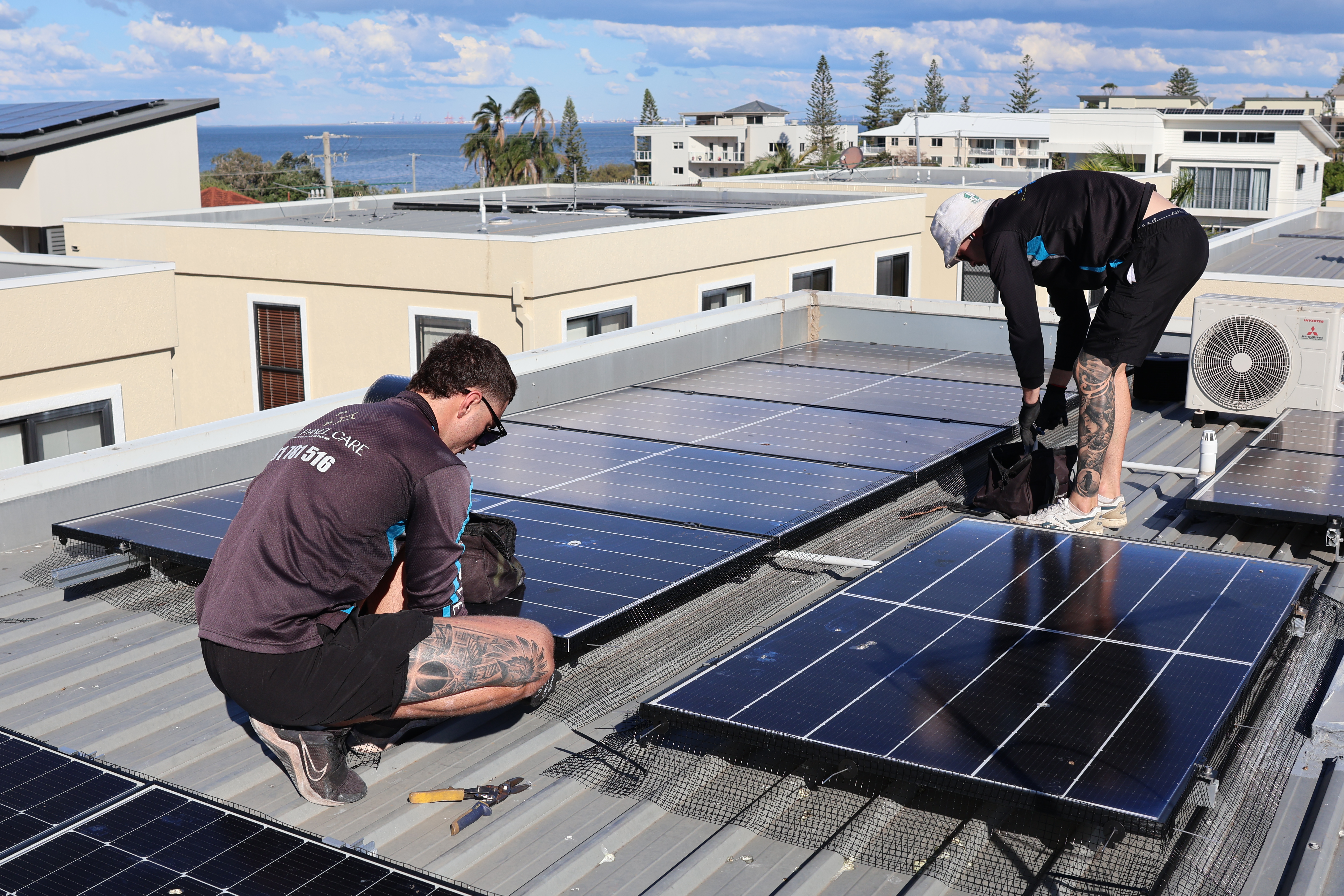 Pigeon damage to wiring under solar panels on Brisbane roof